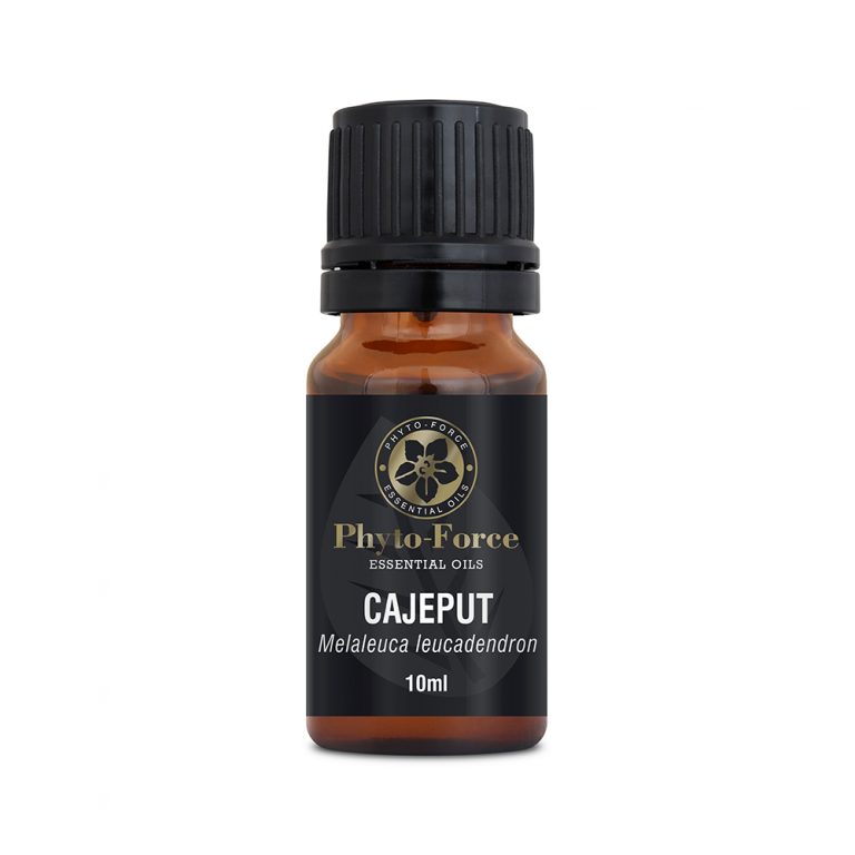 Cajeput Essential Oil 10ml - Phyto-Force